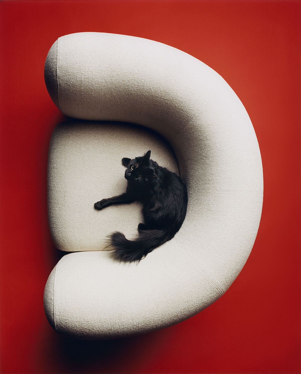 M le Monde - © Charles Negre