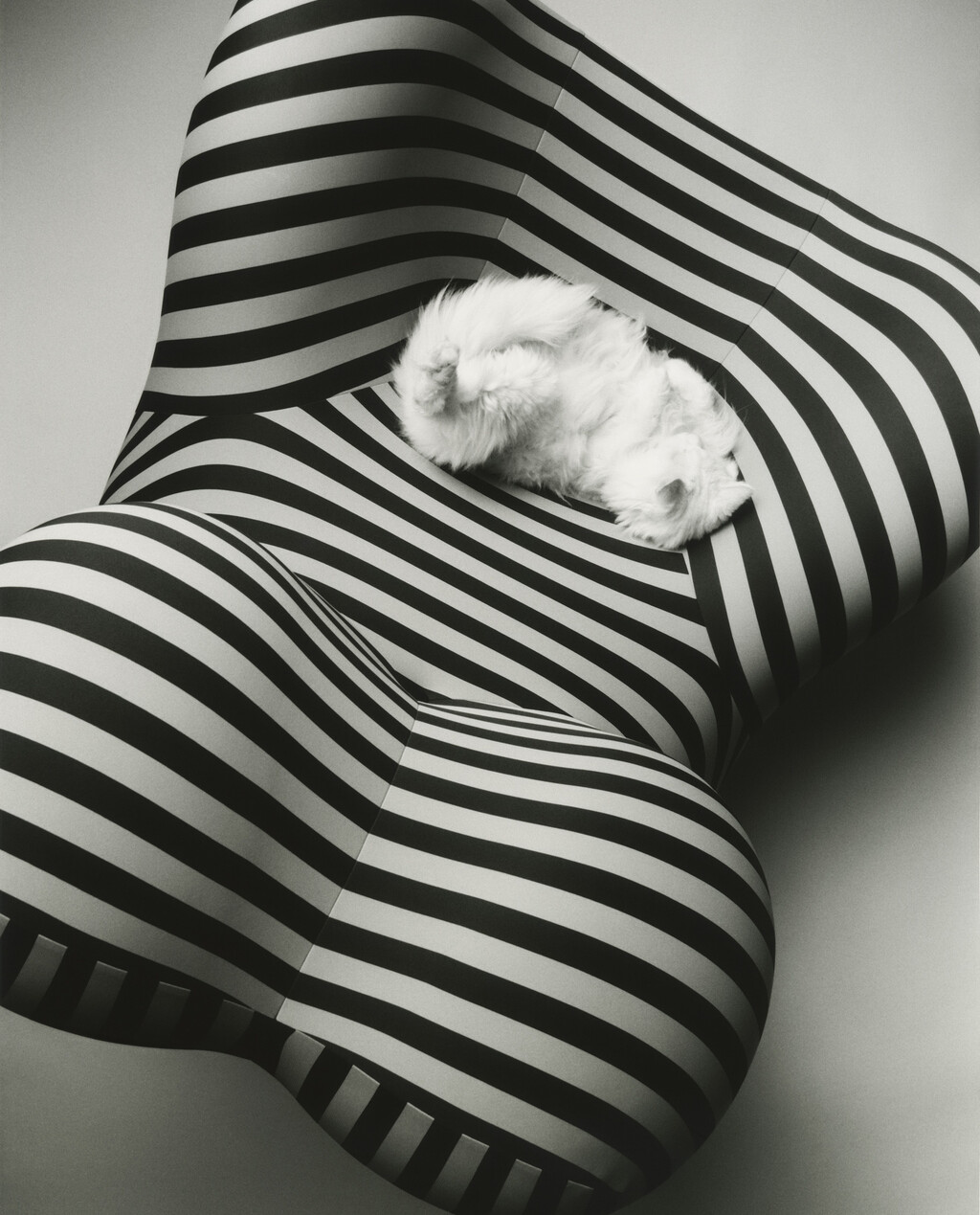 M le Monde - © Charles Negre