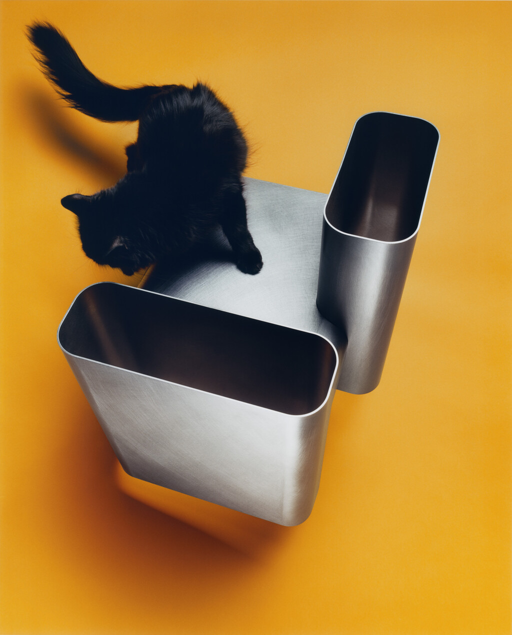 M le Monde - © Charles Negre