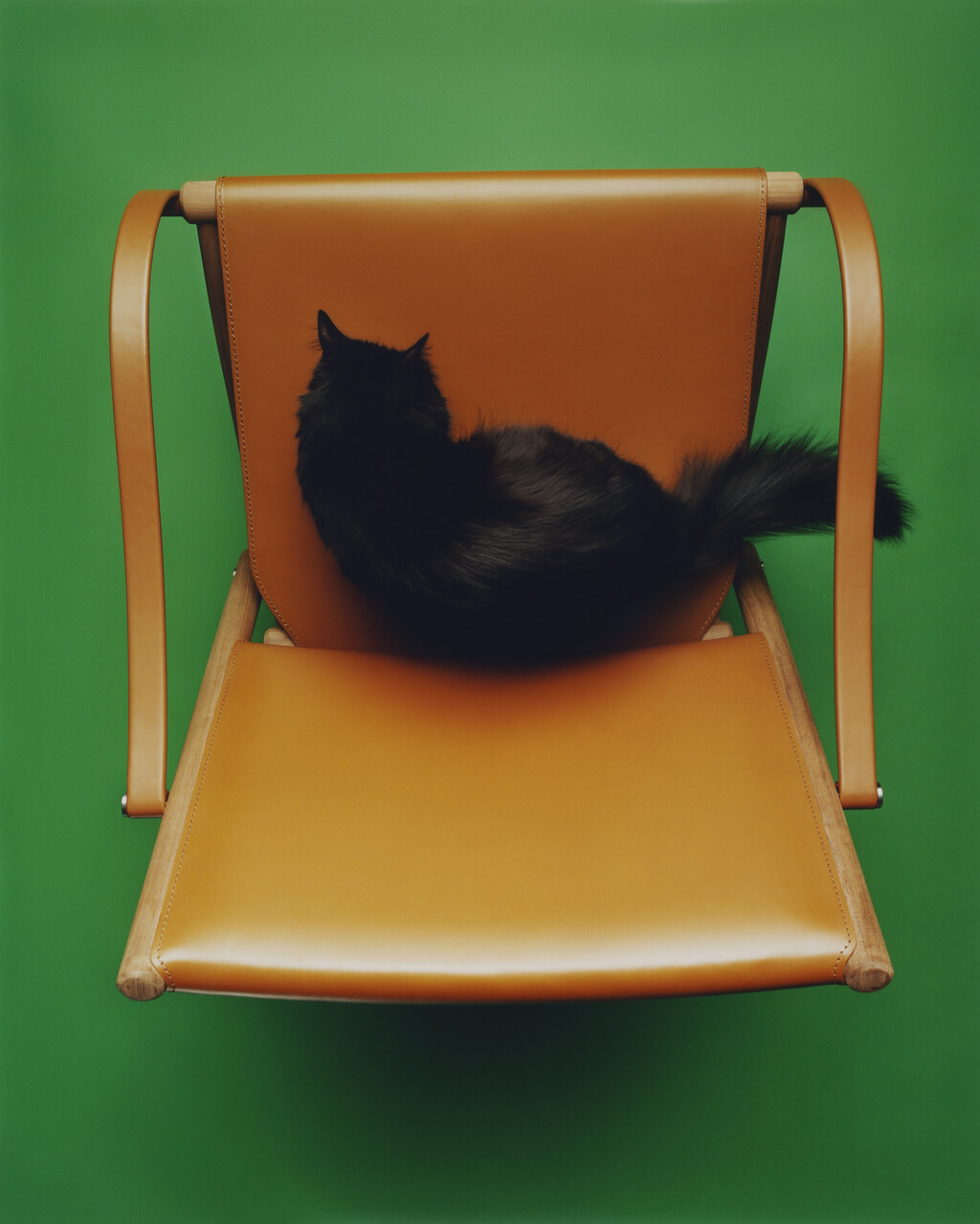 M le Monde - © Charles Negre