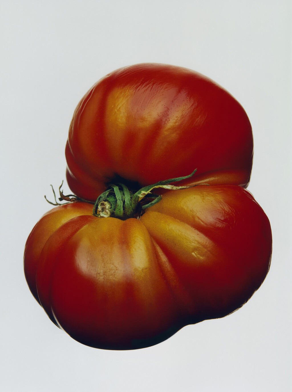 M le Monde Italia - © Charles Negre