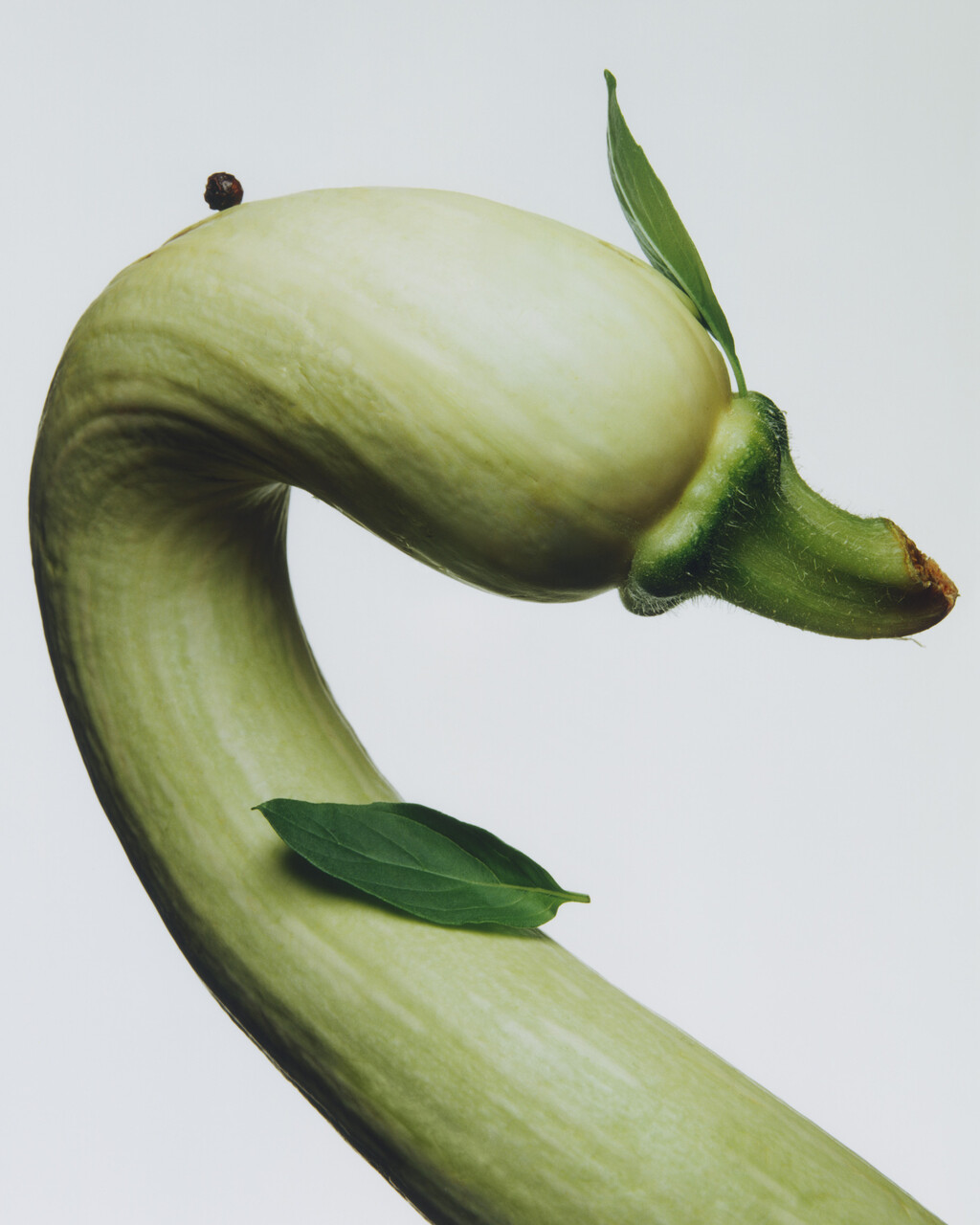 M le Monde Italia - © Charles Negre