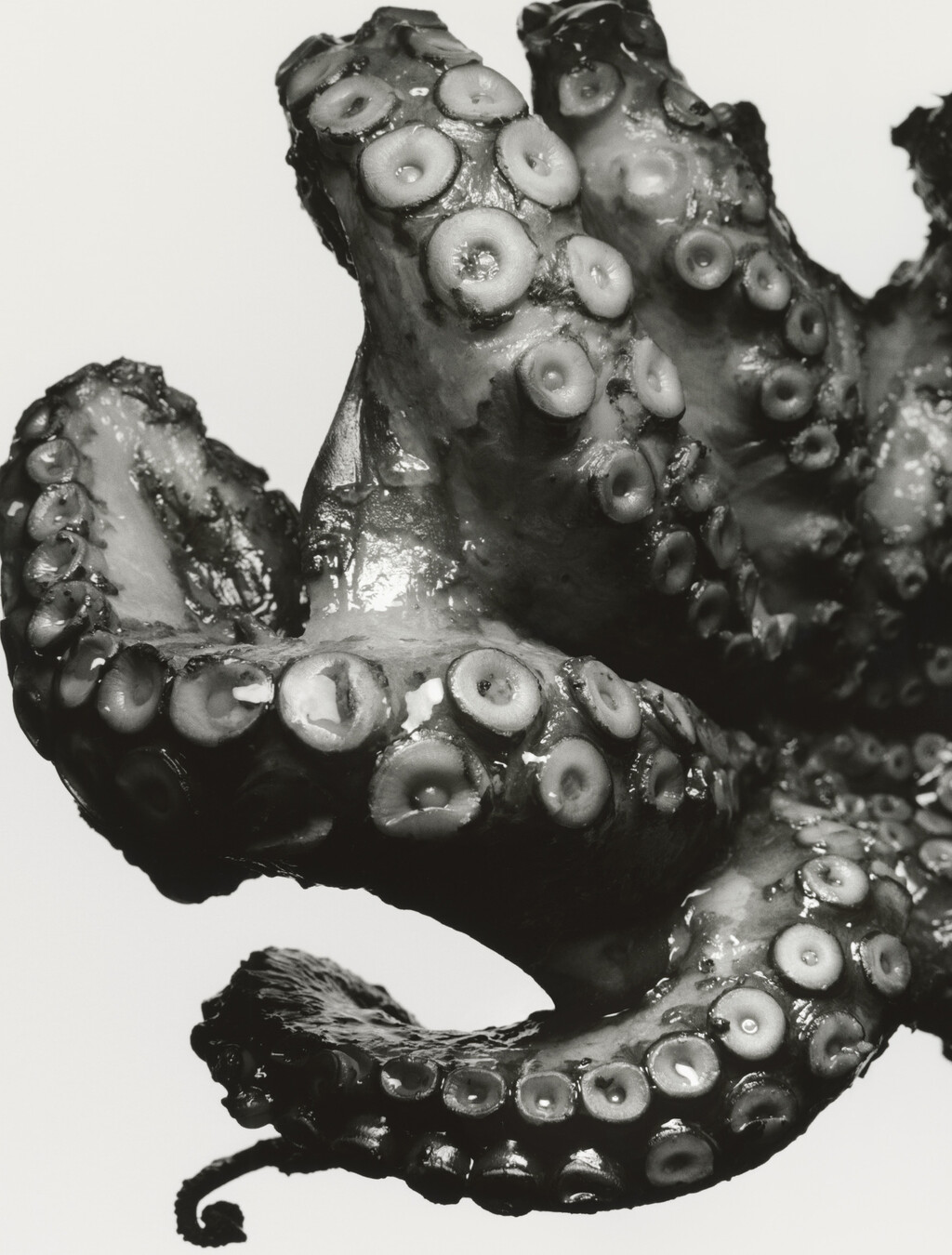 M le Monde Italia - © Charles Negre