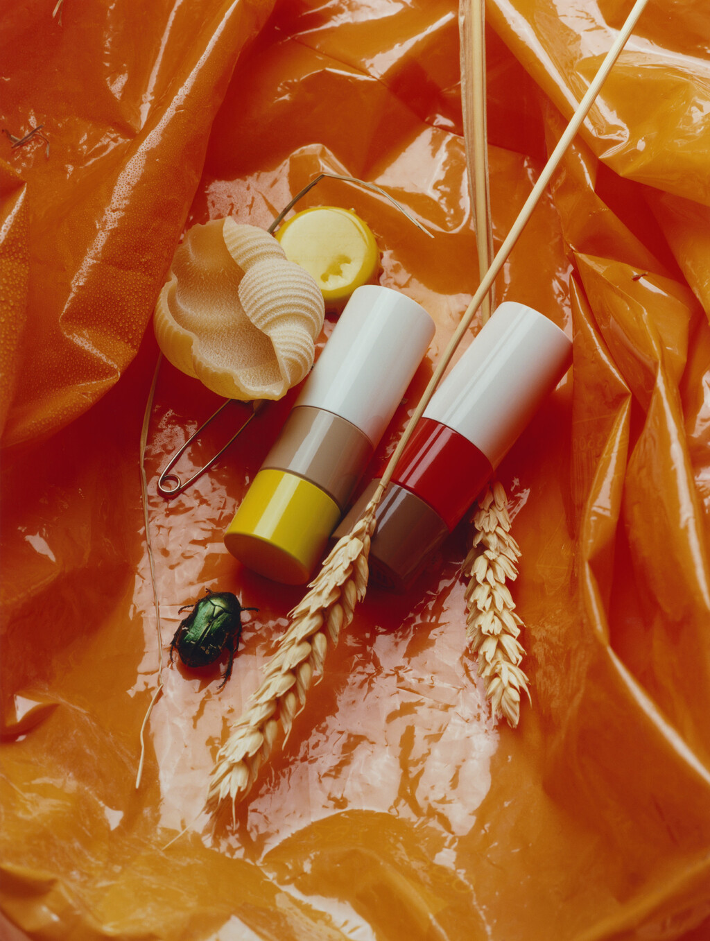 Vogue UA - © Charles Negre