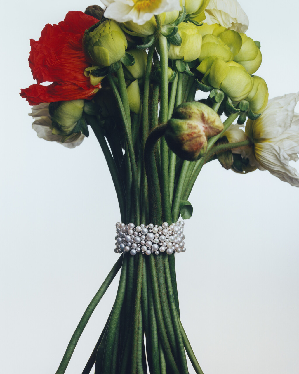 WSJ - © Charles Negre