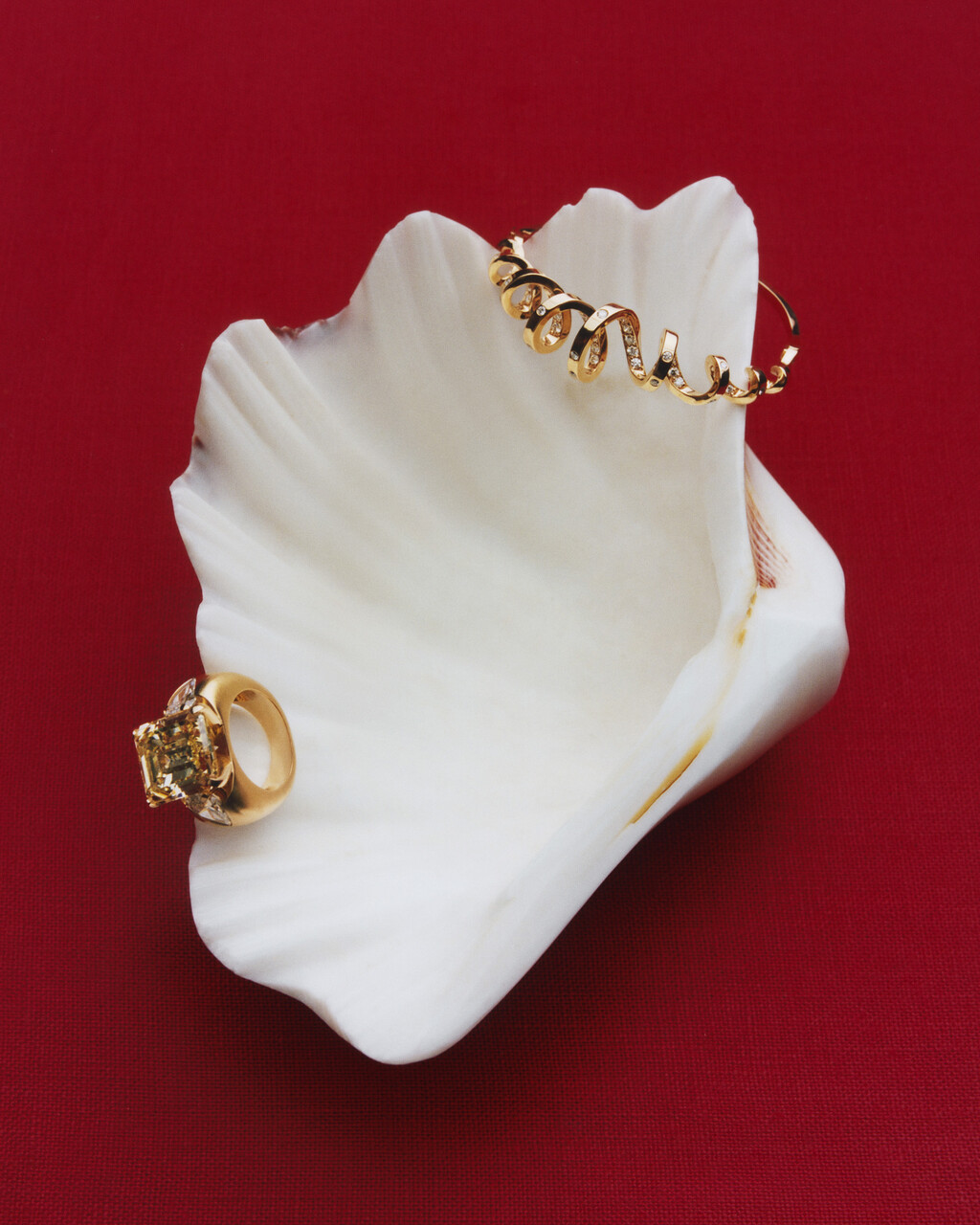 WSJ - © Charles Negre