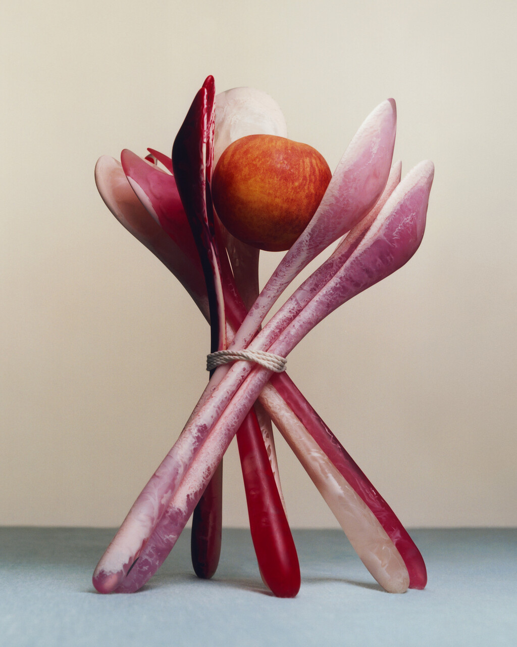 WSJ - © Charles Negre